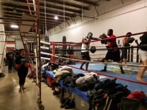Boxers training in Muay Thai gym with focus mitts and gloves.