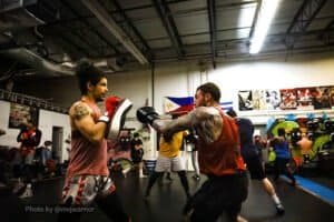 Boxers practicing sparring and training at MVJ Athletic Training Center.