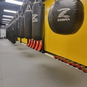 Row of punching bags and training pads in a boxing gym.