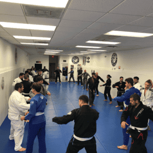 Group of students practicing Brazilian Jiu-Jitsu techniques in a training session.