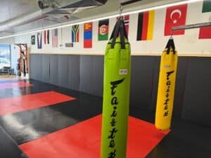 Martial arts gym with punching bags and international flags display.