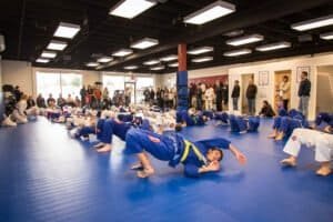 Students practicing Brazilian Jiu-Jitsu techniques in a spacious dojo.
