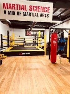 Martial arts training area with boxing ring and punching bags.