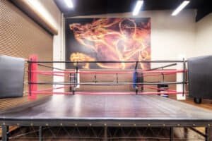 Indoor boxing ring with vibrant wall art and training equipment.