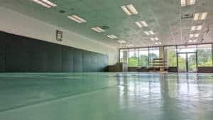 Spacious martial arts dojo with green mats and large windows.