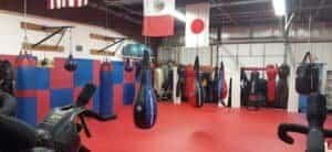 Boxing and MMA punching bags in a training gym.