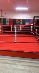 Boxing ring with flags of Mexico, USA, and a boxing logo in the background.