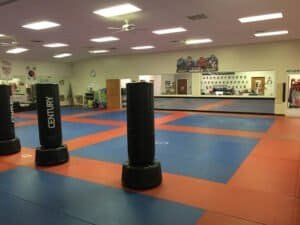 Indoor martial arts gym with punching bags and training mats for karate and krav maga.
