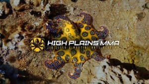 Colorful octopus with MMA branding for High Plains Mixed Martial Arts.